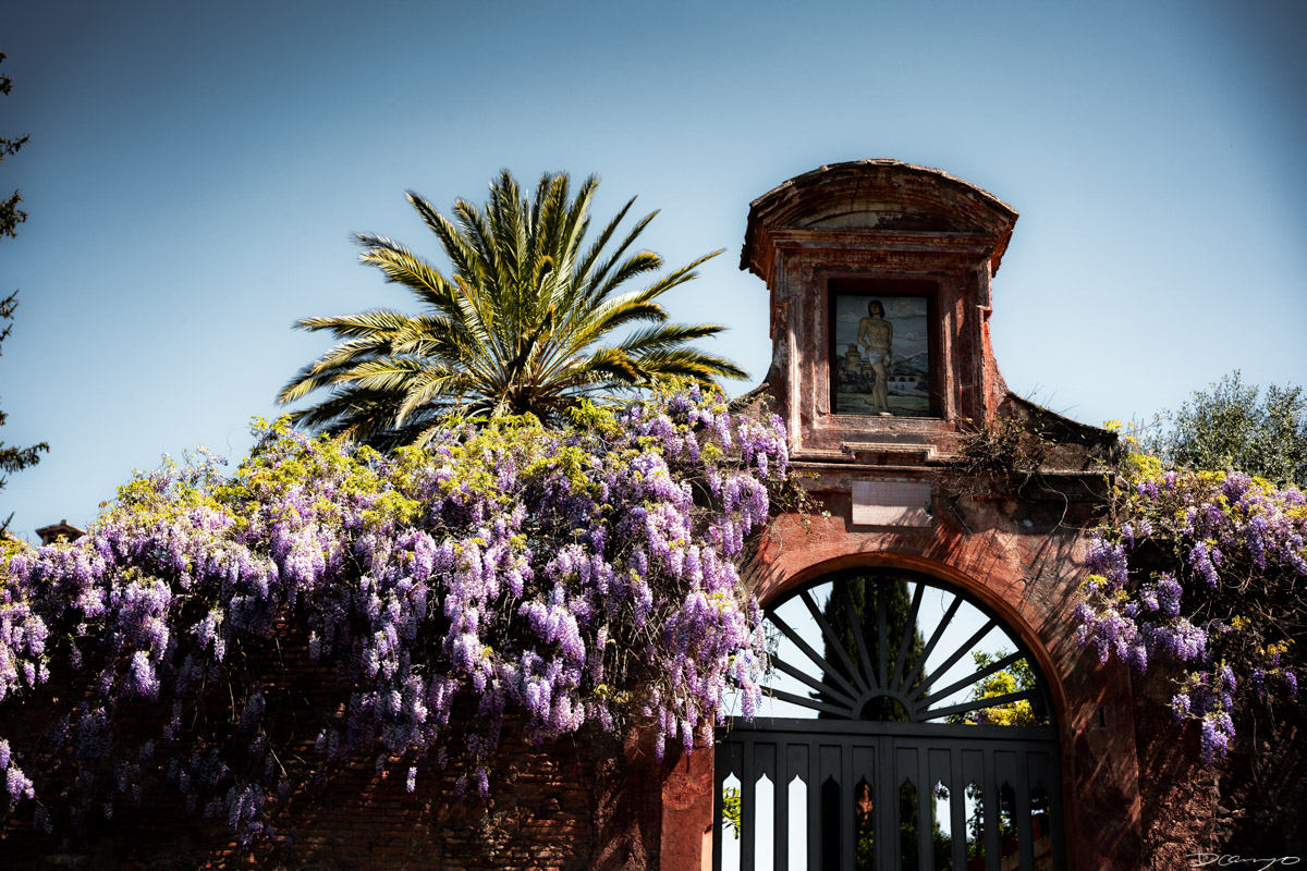 Photos from Rome, Venice, Florence, Tuscany, Manarola, Vernazza, Riomaggiore, Verona, Trento, and the Italian Alps in Spring of 2022.